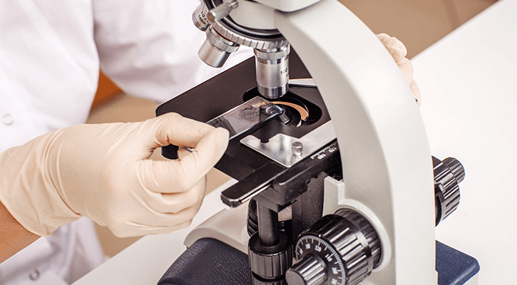 In-House Lab microscope